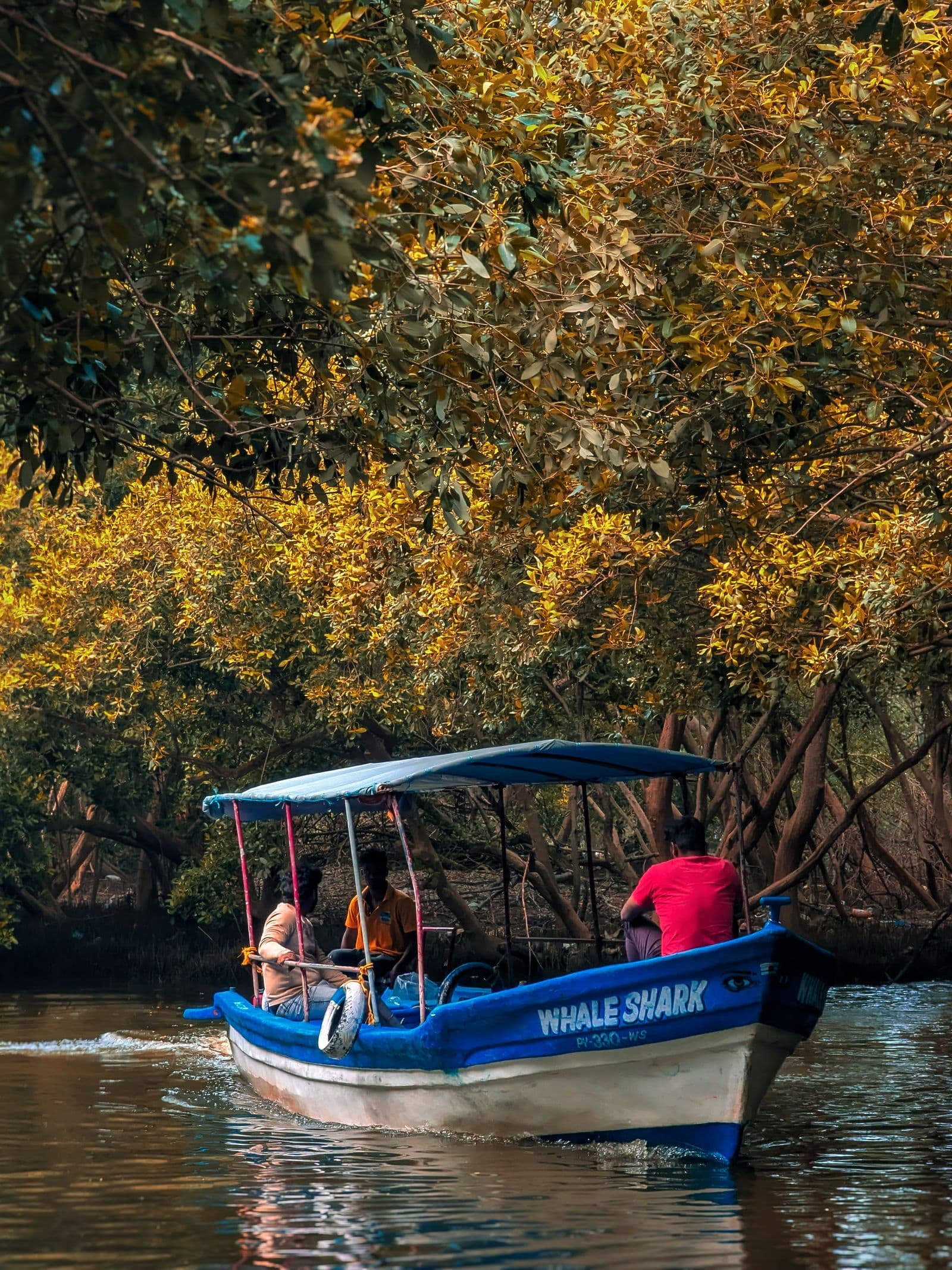 Sundarbans