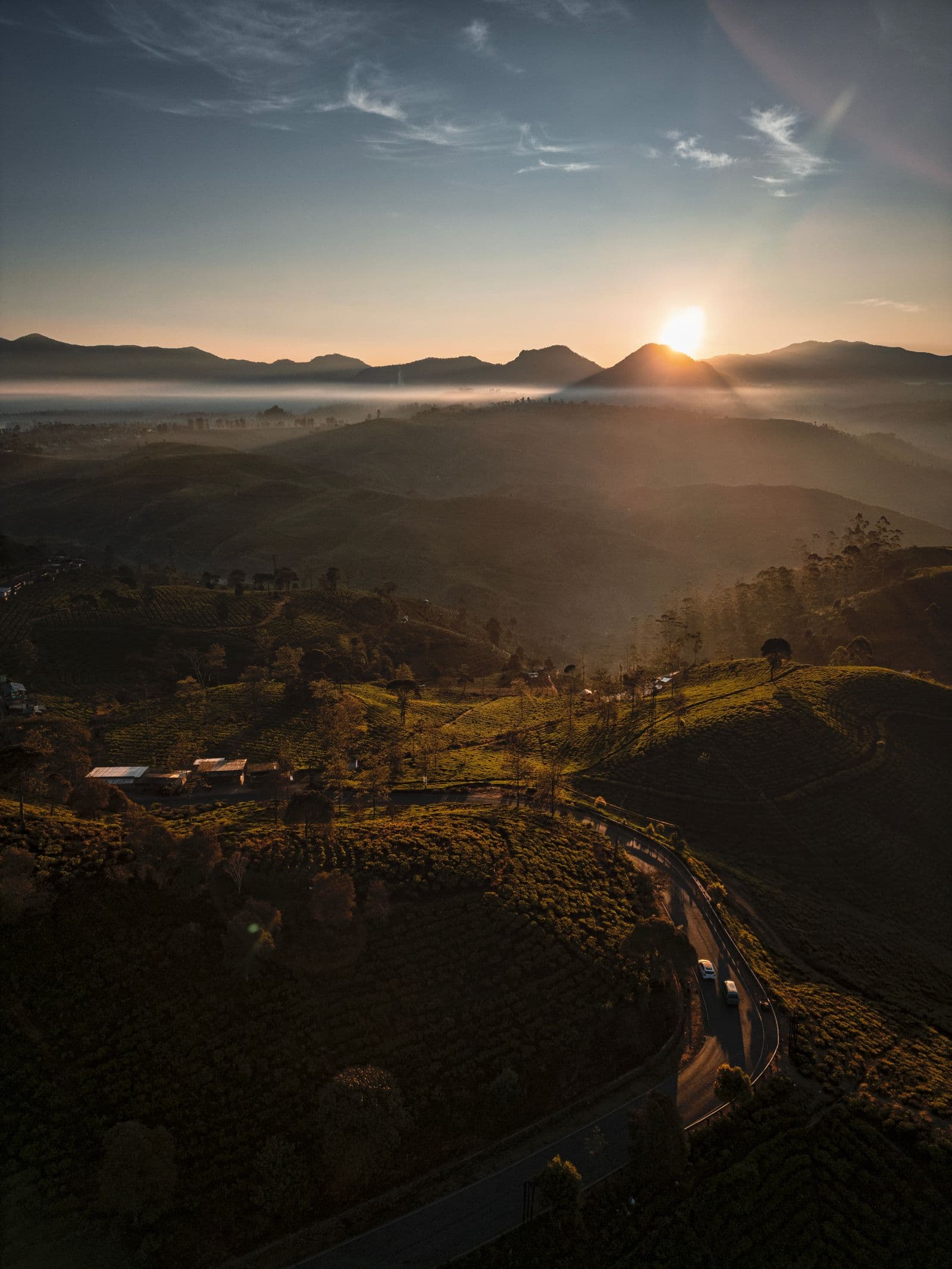 Tea country
