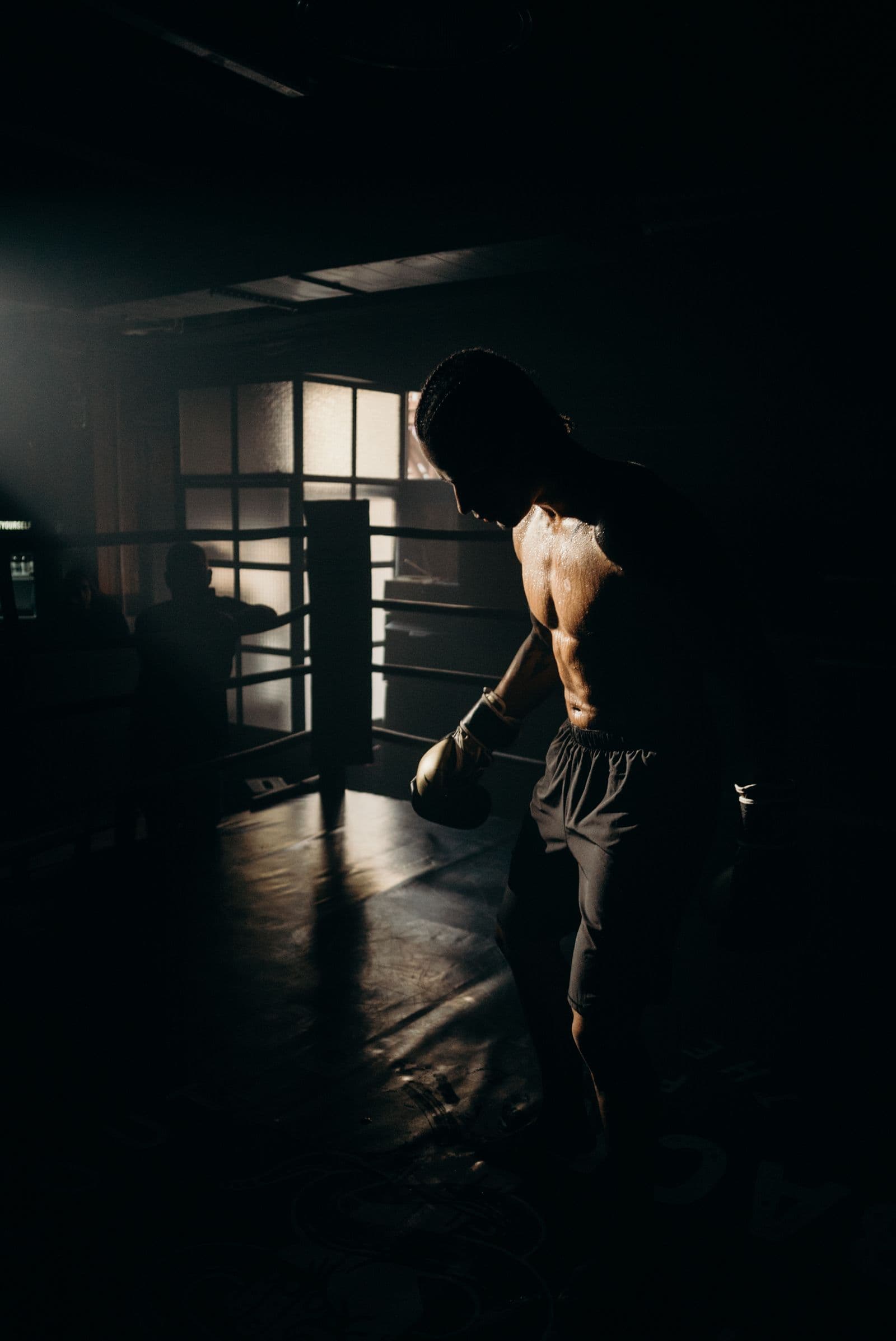 Boxer training in silhouette