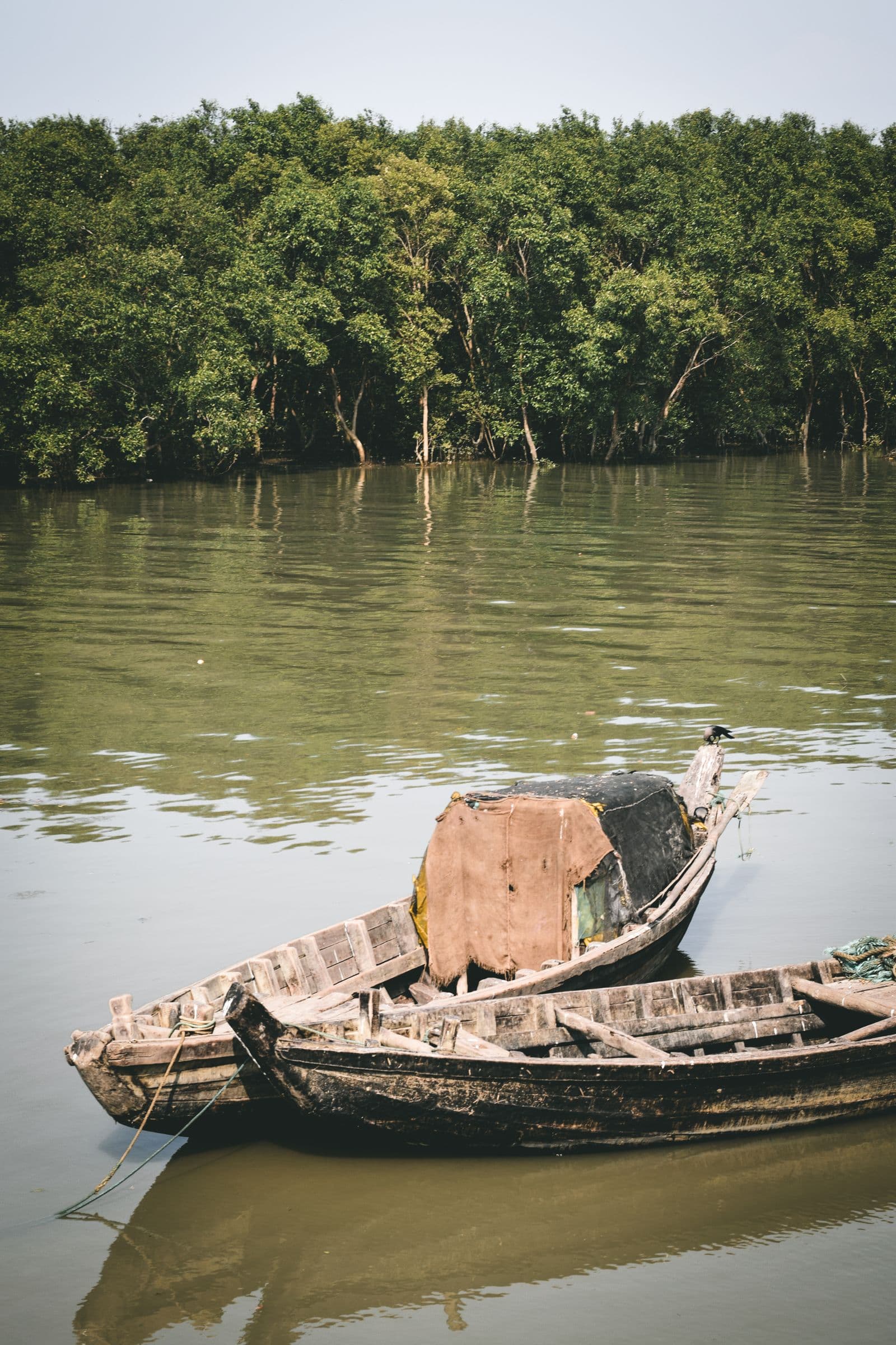Traveller photo from an Uraan journey